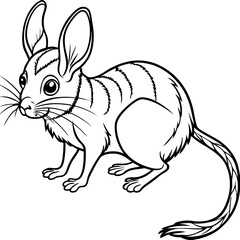  Jerboa
