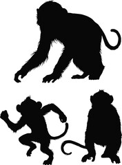set of three white monkeys silhouettes isolated on white
