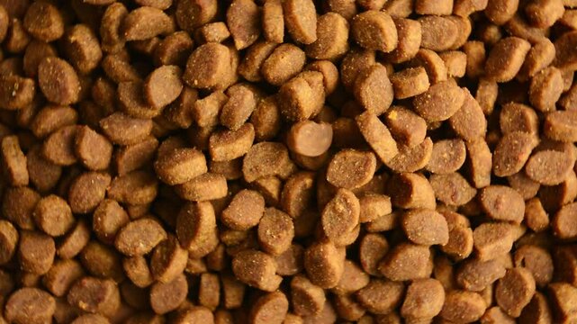 Pet food rotates and spills. Dry food for dogs or cats. Rotating background