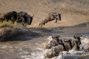 Crossing Mara River