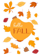 Obraz premium Hello fall Beautiful autumn postcard with bright fall leaves on background. for seasonal invitations or greetings, for poster, banner, sale designs.