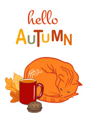 cozy autumn illustration with sleeping orange cat, hot drink, cookies, and fall leaves. Perfect for seasonal greetings, fall promotions, banner, postcard, cozy designs.