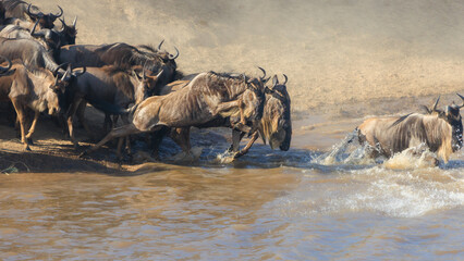Great Migration Serengeti