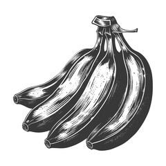 Hand drawn Black and White Illustration of a Bunch of Bananas