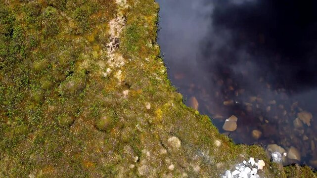 High arctic vegetation and lake drone video