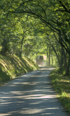 forest track and truck