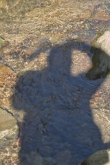 shadow of the photographer