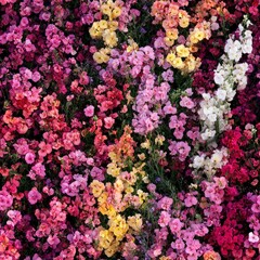 Fototapeta premium A vibrant display of colorful flowers in various shades and arrangements.