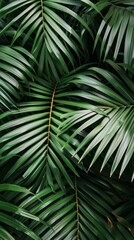 Close-up of vibrant green palm leaves forming a dense, tropical jungle backdrop with intricate natural patterns.