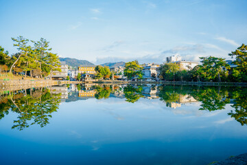 auntumn scenery in nara park