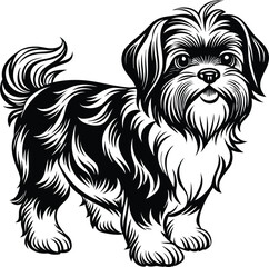 Shih Tzu poses a Charming vector silhouette Dog Design
