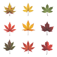 A collection of nine maple leaves displayed in different shades of autumn colors. againts transparent background, cut out, PNG 3D Digital Art, clip art.