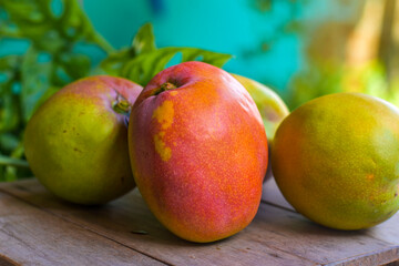 Manga é um fruto do tipo drupa produzido por uma árvore chamada mangueira. Muito consumida in natura, a manga apresenta grandes benefícios à saúde
