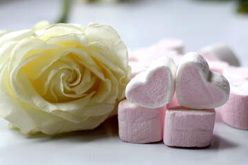 Pink marshmallow hearts and white rose, romantic dessert