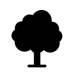 A perennial plant with a trunk