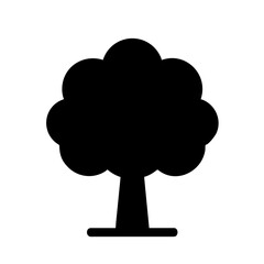 A perennial plant with a trunk