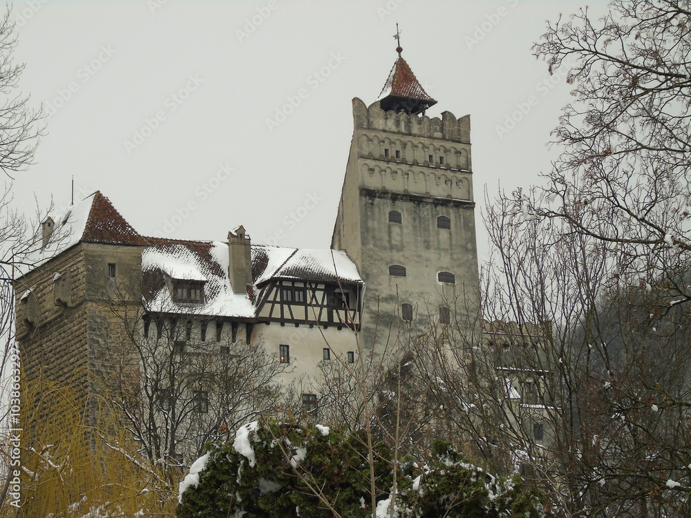 Wall mural bran castle in winter, in the transylvanian village near brasov