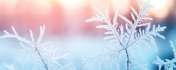 Frosty patterns on a glass window, delicate winter detail