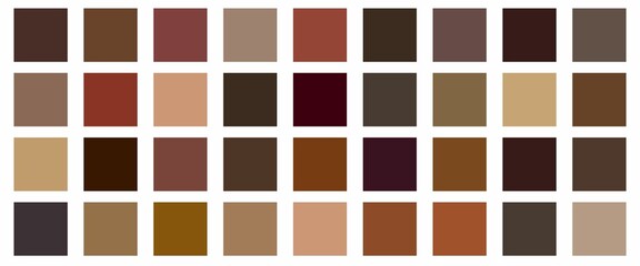 Brown color palette, a collection of vector color palettes. Fashion concept, brand layout. A guide to tone and color. Various color solutions.
