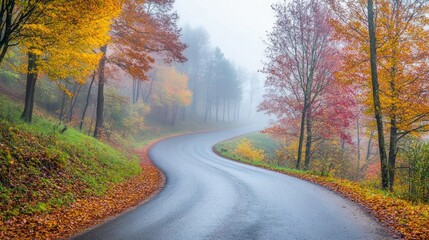 Fototapeta premium Foggy autumn morning in the countryside with colorful trees and a winding road. 