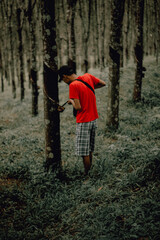 person walking in the forest