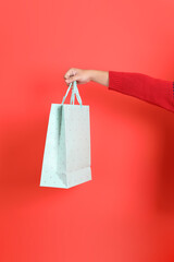 Hand Holding shopping bag