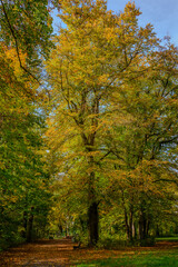 Fototapeta premium Eine Wanderung durch den Stadtpark Straubing