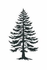 Obraz premium Stylish modern spruce silhouette in charcoal and metallic with white background and star detail