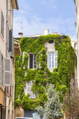 Building with windows and shutters overgrown with green ivy climbing plants in Aix-en-Provence in...