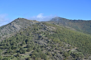 Sierra del Rincón , de setas 