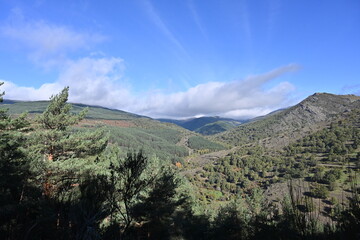 Sierra del Rincón , de setas 