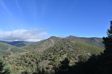 Sierra del Rincón , de setas 
