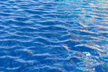 Glistening blue waves dance under the bright sun at a serene coastal location, reflecting vibrant hues of nature’s palette