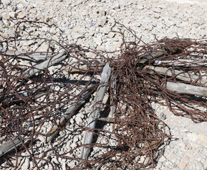 Tangled rusted barbed wire used during World War I in the mountains between the Austro-Hungarian border and the Italian zone