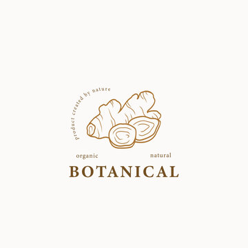 Line art ginger root logo