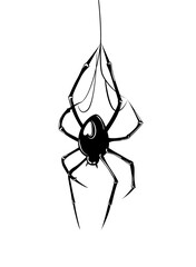 Black widow spider with a heart on its abdomen, criminal tattoo, underground, monochrome sketch flash tattoo, street art and urban culture. Black widow spider, vector illustration
