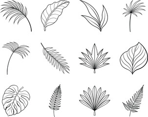 Obraz premium Tropical Leaf Outline Illustrations Set Design