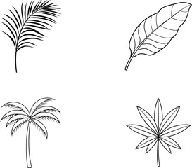 Obraz premium Tropical Leaf and Palm Tree Outline Illustrations