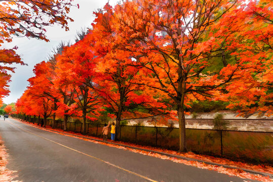 Brillaint Park Leaves Illustration