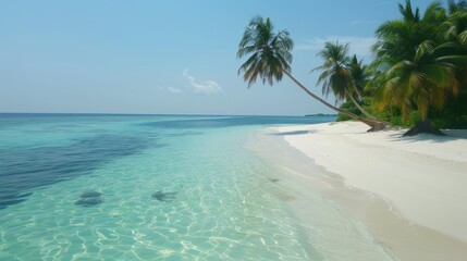 Fototapeta premium Serene Tropical Beach with Crystal Clear Waters