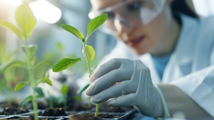 Scientist in a laboratory working on genetic engineering of plants, using advanced biotechnology and CRISPR techniques. Innovation in agriculture, plant science, and sustainable farming practices.