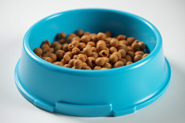 empty blue pet bowl food food inside recent cut