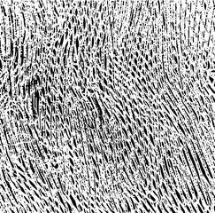 Rough black and white texture vector. Distressed overlay texture. Grunge background. Abstract textured effect. Vector Illustration. Black isolated on white background. EPS10