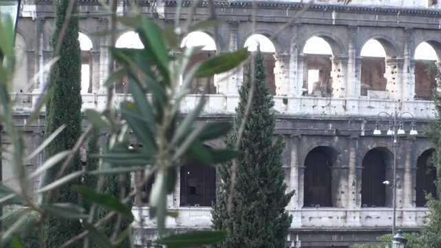 Da foglie a Colosseo: cambio di fuoco, da primissimo piano sulla pianta a messa a fuoco sulla struttura iconica, sfocando il verde
