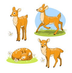 Cartoon baby deer, hand drawn, vector illustration set