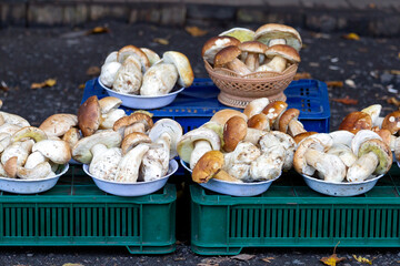 Many edible mushrooms in the bazaar for sale.