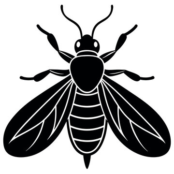 Insect silhouette image vector illustration.

