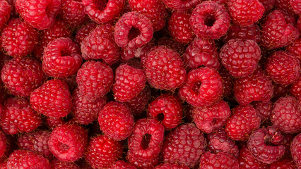 Tasty fresh raspberry as a background.