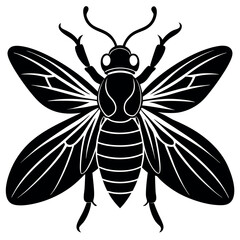 Insect silhouette image vector illustration.
