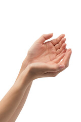 Woman hands with nude manicure isolated on a white background.